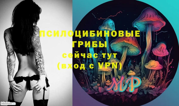 мяу мяу мука Костерёво
