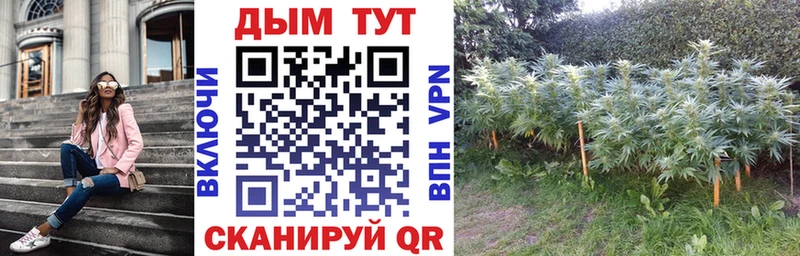 Купить закладки  Новоуральск  Конопля индика 